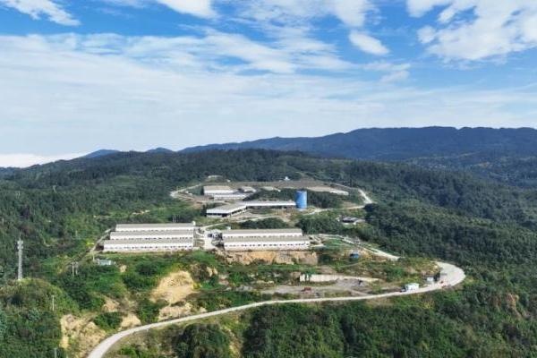 共创中国黑猪供应链新标杆，高金食品与叮咚买菜首批合作养殖黑猪成功出栏 