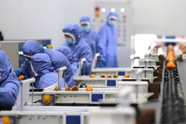 乡村全面振兴实践样本：从资源聚变到产业裂变 