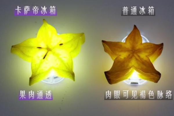 冰箱保鲜“鹰眼”挑战：中网合作伙伴卡萨帝唯一营养留存率超99% 