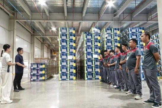 打造高效物流新标杆!日日顺供应链“出口”泰国