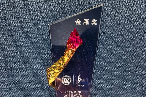 如新连获行业殊荣 彰显品牌创新力与影响力 