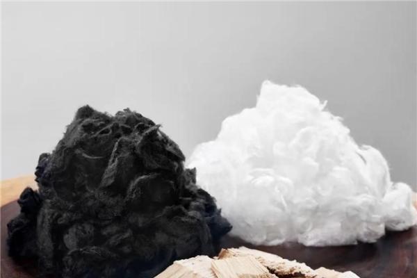 兰精集团再次荣登Canopy森林热点问题纽扣评级报告榜首 