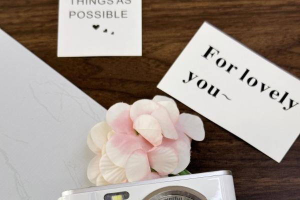 理性消费驱动细分市场，松典轻量级相机成双十一新焦点 