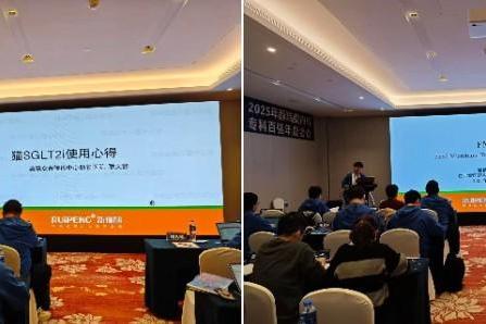 汇聚内科百强，共绘专科蓝图：新瑞鹏2025内科年会引领行业新发展 