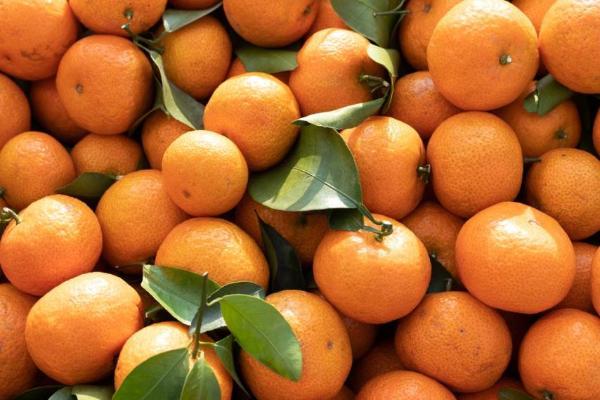 当砂糖桔遇上金秋，钱大妈秋季果篮子上新 