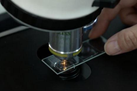 一杯“三元北京鲜牛奶”的70年坚守：三元用自有奶源筑牢品质护城