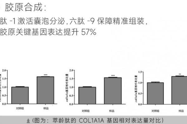 诺奖得主兰迪・谢克曼获授黛安蒂 “荣誉首席科学家”，启幕50+熟龄肌精准抗衰新纪元 