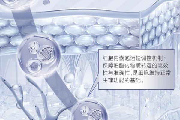 诺奖得主兰迪・谢克曼获授黛安蒂 “荣誉首席科学家”，启幕50+熟龄肌精准抗衰新纪元 