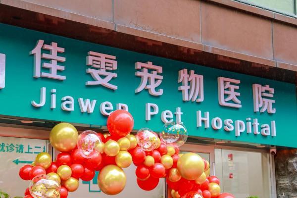 宁波迈向“宠物友好城市”新标杆 新瑞鹏旗下佳雯宠物医院宁波总院升级迁址助力人宠和谐共生