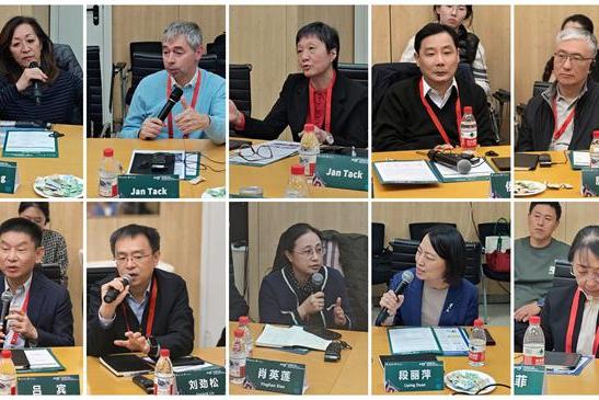 扬子江药业携手Rome Foundation，共探DGBI国际协作新径 