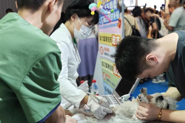 新瑞鹏深度参与行业盛会，特色活动彰显专业与关爱