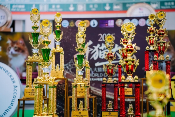 野性集结，魅力绽放！CHARM野性魅力杯2025千猫大会暨九大猫赛联合世界展圆满落幕 