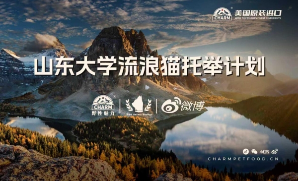 野性集结，魅力绽放！CHARM野性魅力杯2025千猫大会暨九大猫赛联合世界展圆满落幕 