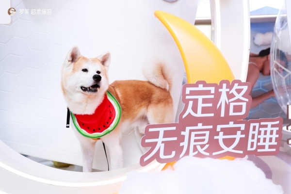 “罗莱 安睡实验室”主题快闪空降深圳，以科技引领安睡体验新范式 