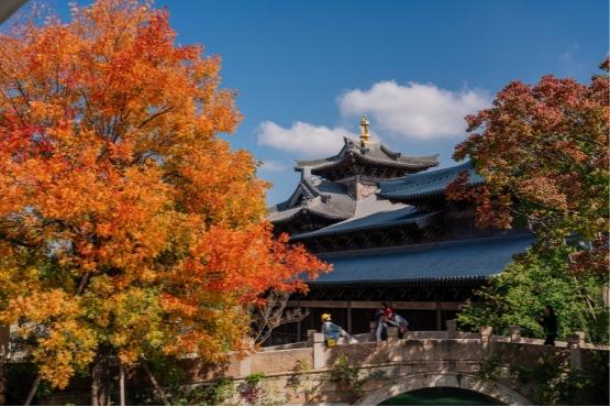 首届“濮院国际当代首饰艺术与设计双年展”11月22日启幕