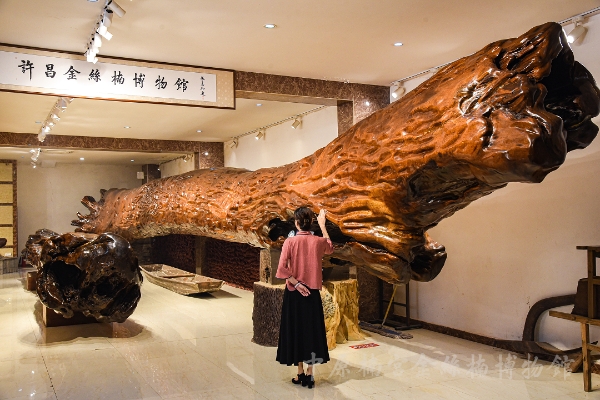 蜀山兀，阿房出：金丝楠木国家的金色脊梁