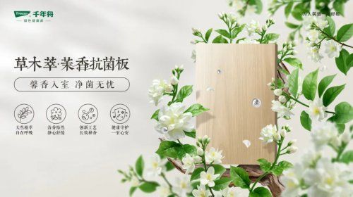 千年舟新西兰纯松板&草木萃系列，新品震撼发布！