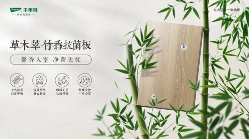 千年舟新西兰纯松板&草木萃系列，新品震撼发布！