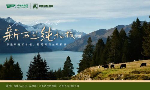 千年舟新西兰纯松板&草木萃系列，新品震撼发布！
