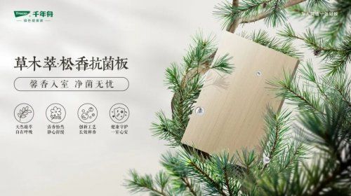 千年舟新西兰纯松板&草木萃系列，新品震撼发布！