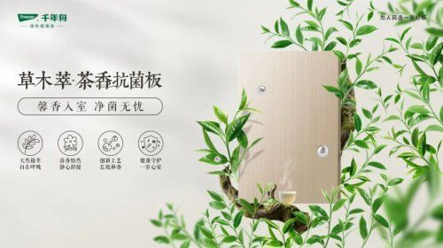 千年舟新西兰纯松板&草木萃系列，新品震撼发布！
