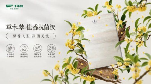 千年舟新西兰纯松板&草木萃系列，新品震撼发布！