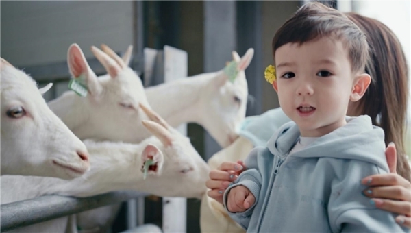 新手爸妈必看：羊奶粉和牛奶粉哪个更有营养？ 