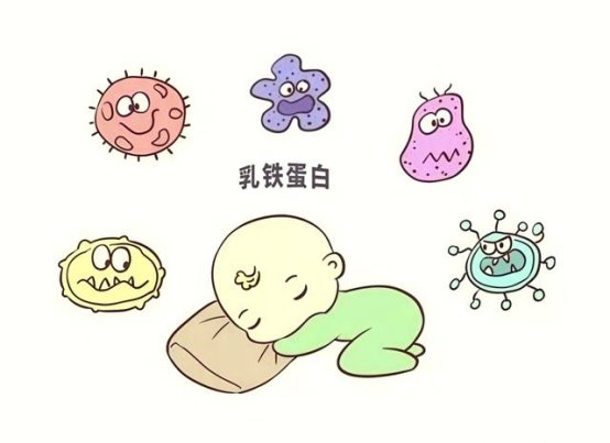 乳铁蛋白奶粉不止提升免疫力！4大核心作用+优质款介绍 