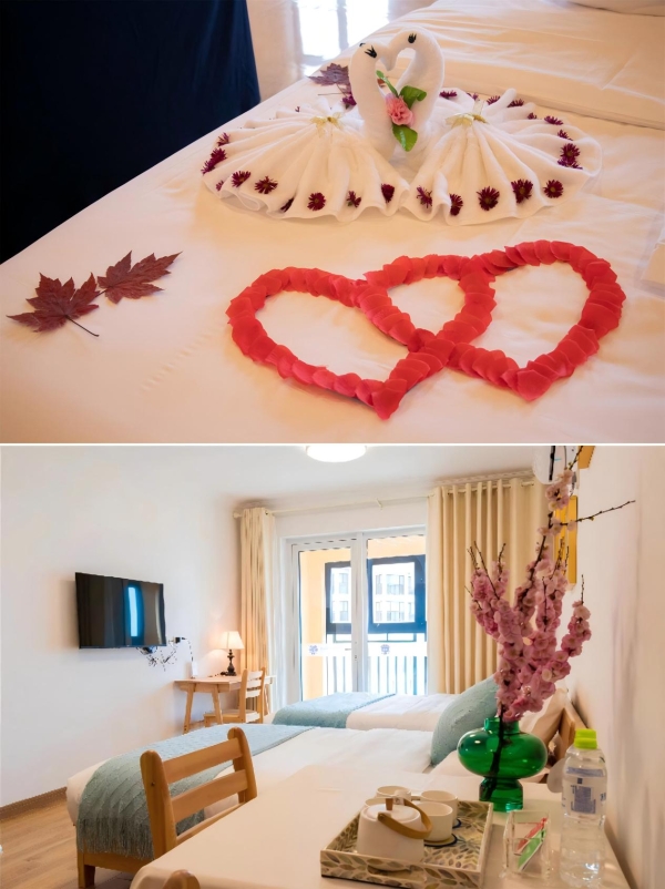 「那香海第二届天鹅童话节」来了！邀您闯入有雪有海有天鹅的冬日胜境~ 