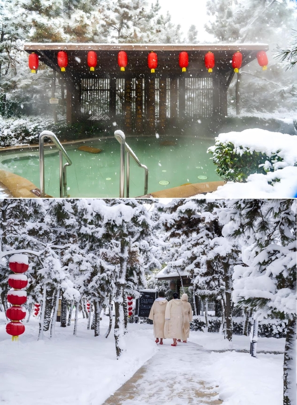 「那香海第二届天鹅童话节」来了！邀您闯入有雪有海有天鹅的冬日胜境~ 