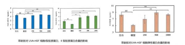 诺奖科技赋能东方植研，黛安蒂以“细胞级精准抗衰”重塑50+熟龄肌护肤新纪元 
