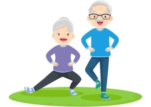 无糖的奶粉中老年选哪款？这几款覆盖不同健康需求