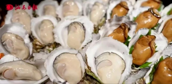 《假期中的她们》汕尾落幕，东鹏补水啦见证山海人文魅力之旅 