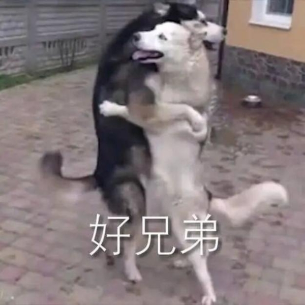 与至尊版同宗同源：解密第五代骁龙8的“满血”旗舰体验 