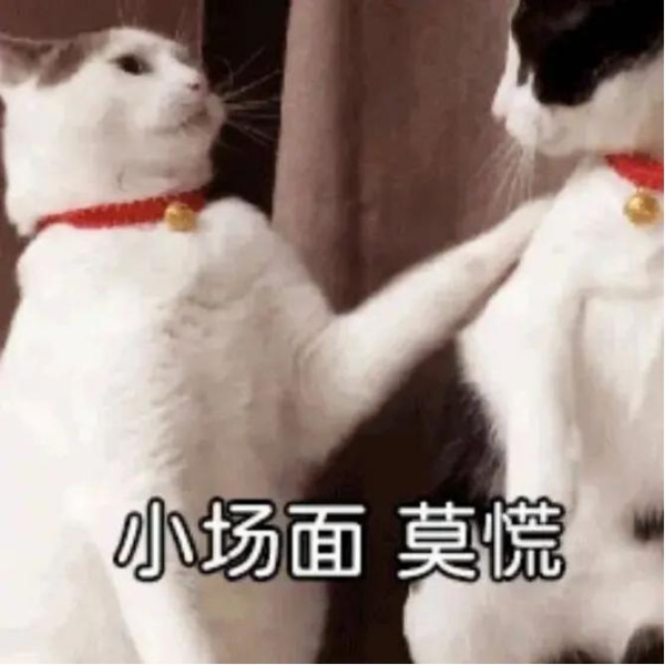 与至尊版同宗同源：解密第五代骁龙8的“满血”旗舰体验 