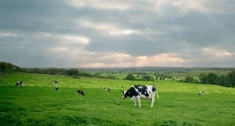 2025年新视角：有机A2β-酪蛋白奶源与普通奶源区别 