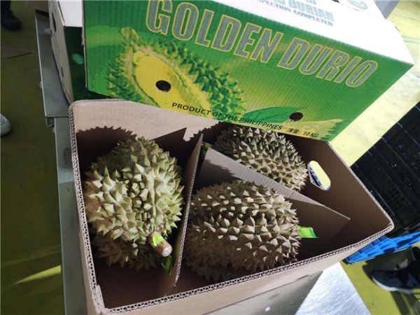 BJM进博会首秀菲果香飘沪上共启贸易新篇 