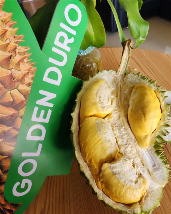 BJM进博会首秀菲果香飘沪上共启贸易新篇 