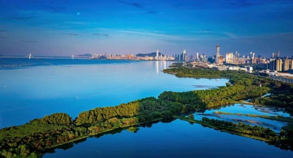 搭建多元平台，携手共护海陆交汇的生命纽带 