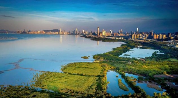 搭建多元平台，携手共护海陆交汇的生命纽带 