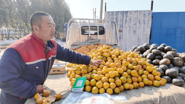 祥菱V5：水果摊主的移动商铺——河北唐山杨师傅的运输升级之路 