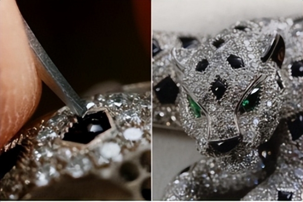 卡地亚与猎豹：风格视野 ——卡地亚连续六年参展中国国际进口博览会 