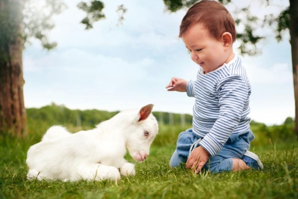 进口奶粉排名前十有哪些品牌？解码澳优稳居榜单的制胜之道 
