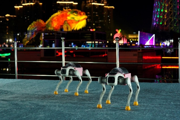 从单个到方阵：智元×火花机器人携机器狗集群表演亮相广州灯光节 