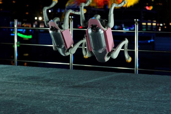 从单个到方阵：智元×火花机器人携机器狗集群表演亮相广州灯光节 