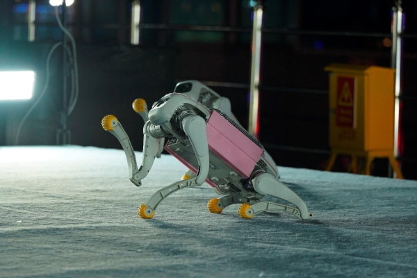 国内首个A2型β-酪蛋白白皮书正式发布——以科学共识引领乳制品精准营养新时代 