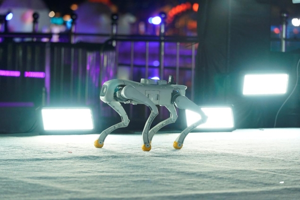 国内首个A2型β-酪蛋白白皮书正式发布——以科学共识引领乳制品精准营养新时代 