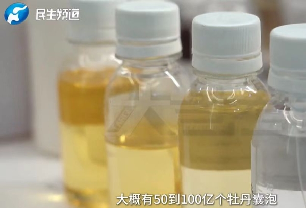 破界而生：丸碧以革命性植物纳米囊泡技术，开启精准护肤新篇章 