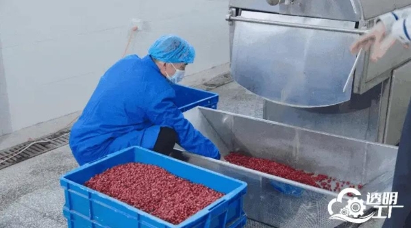 人民网“透明工厂”走进仲景宛西制药 探寻智能制造里的“古方新魂” 