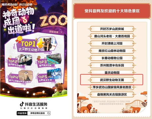 从练习生到顶流：抖音「神奇动物」出道天团迎来高光时刻 